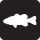Toronto Reservoir Fishing Information