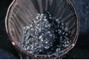 A Fry Net