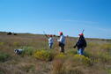 Intro to Upland Bird Hunting Photo 9