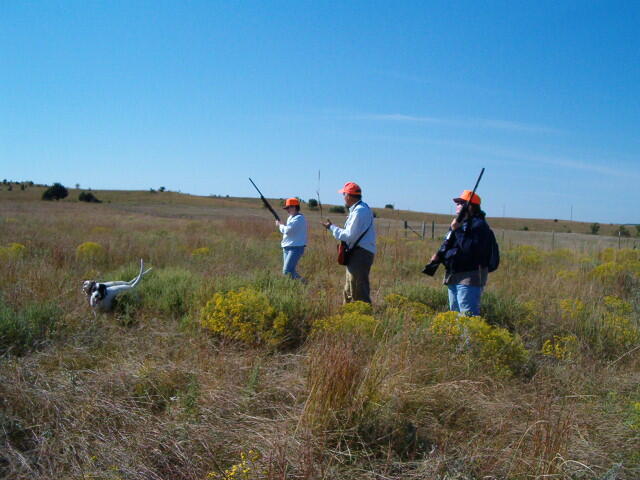 Intro to Upland Bird Hunting Photo 9