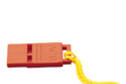 Whistle
