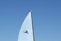 sailboat