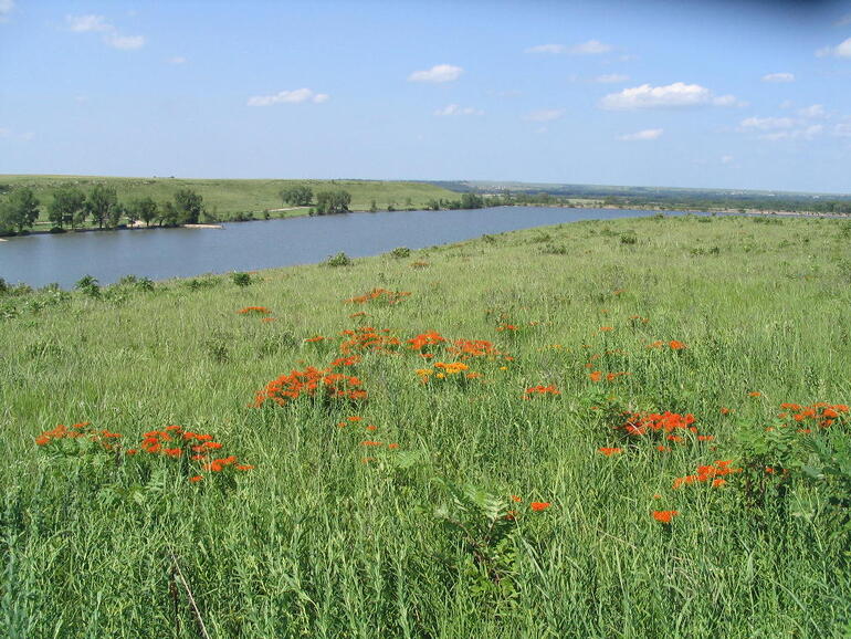 Chase State Fishing Lake