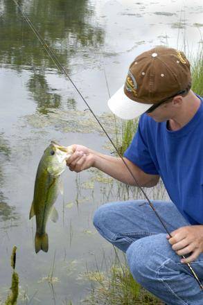 Bass in hand