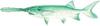 Paddlefish