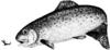 Trout Logo