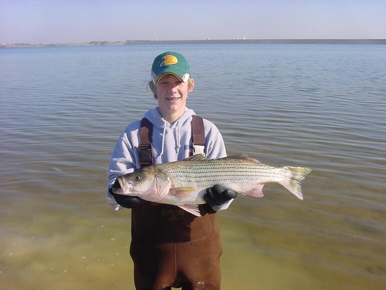 GELR Striper