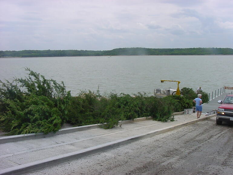 Lovewell trees on ramp