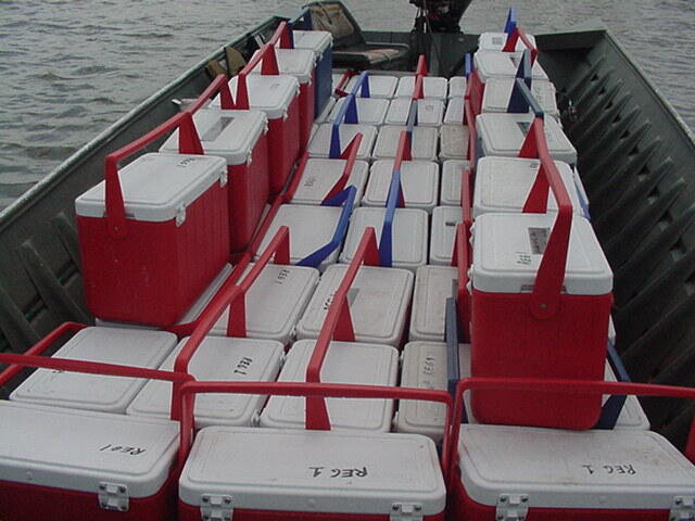 Boat load of coolers containing walleye fry for stocking in El Dorado Reservoir Boat load of coolers containing walleye fry for stocking in El Dorado Reservoir