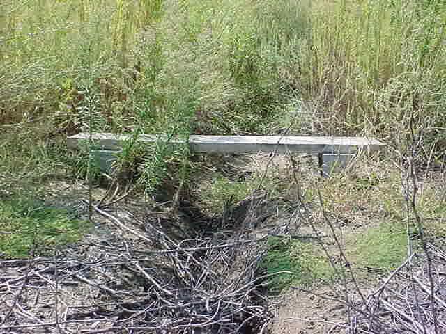 LYSL half log