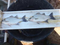 C:\Users\kirk.tjelmeland\Desktop\banner wb 10-15.JPG