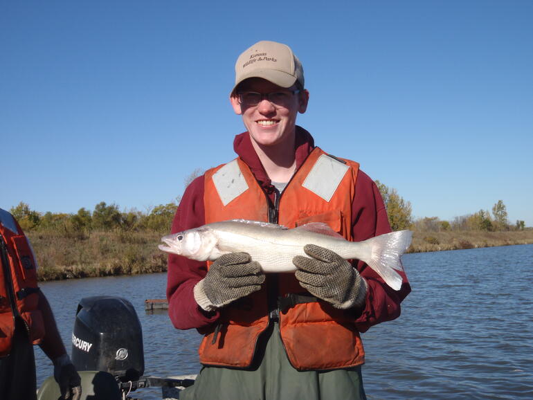 C:\Users\kirk.tjelmeland\Desktop\BRSL walleye 10-15.JPG