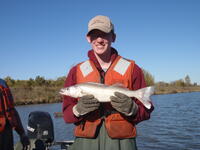 C:\Users\kirk.tjelmeland\Desktop\BRSL walleye 10-15.JPG