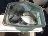 C:\Users\kirk.tjelmeland\Desktop\Fishing Report Photos\Banner\Banner BC 10-14.JPG