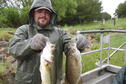 HOCC Bass