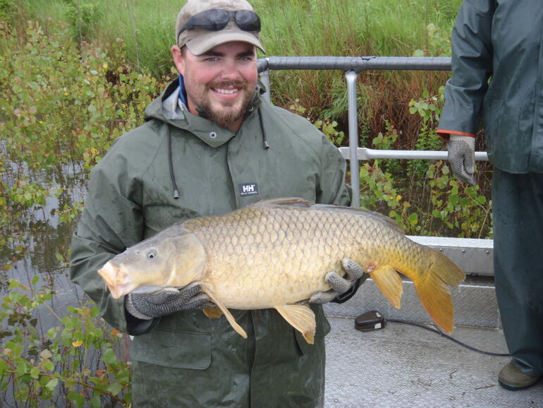 C:\Users\kirk.tjelmeland\Desktop\HOCC carp 5-29-15.JPG