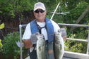 HOCC LMB