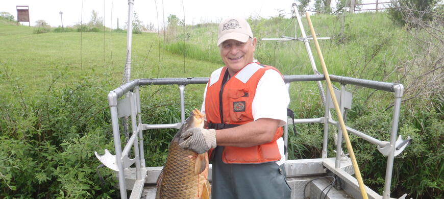 BRSL Carp