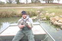 Crappie