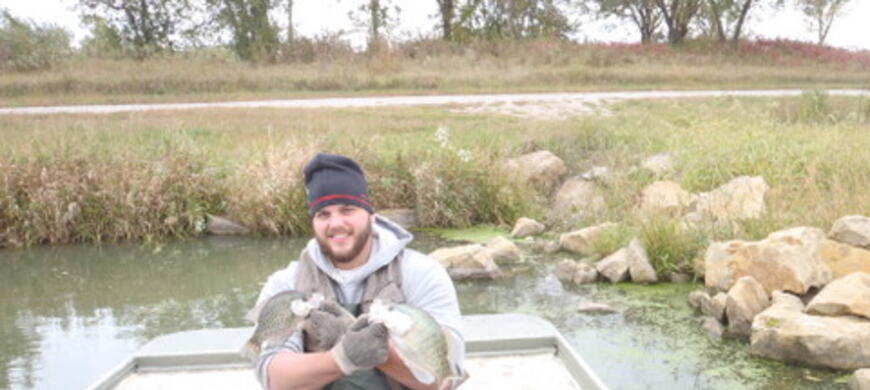 Crappie
