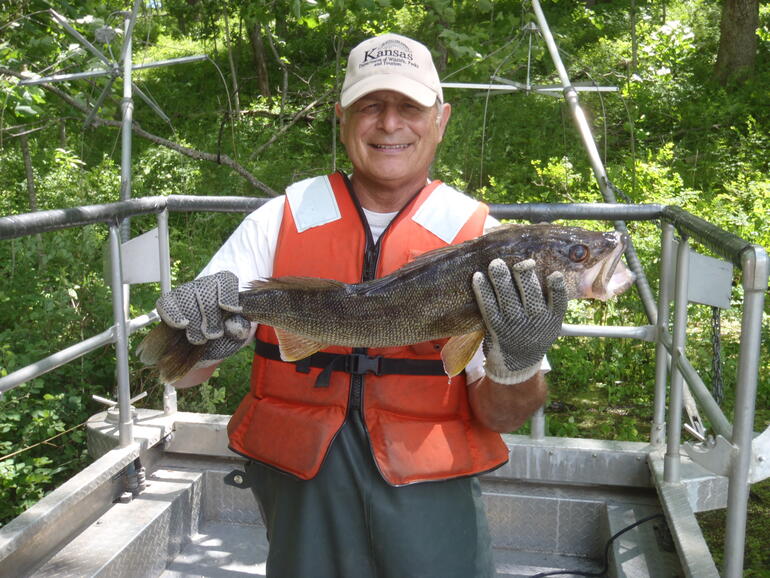 C:\Users\kirk.tjelmeland\Desktop\LVSL walleye 5-15.JPG
