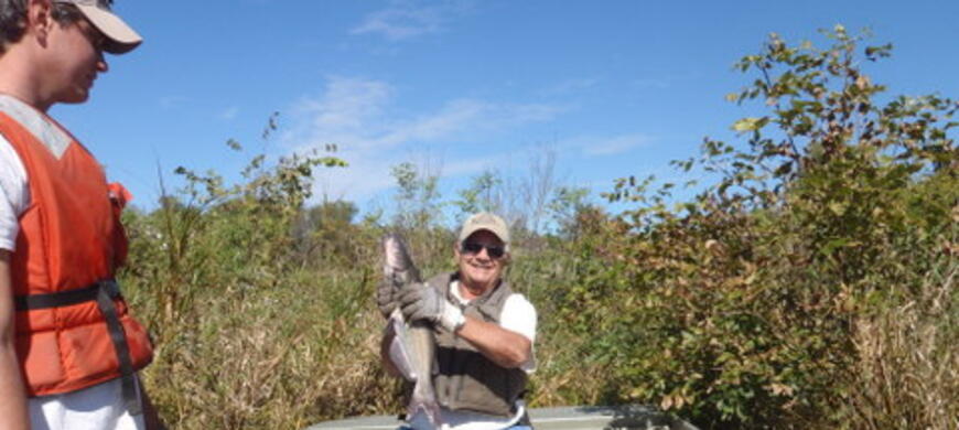 Catfish 10-14