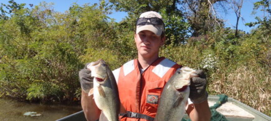 Largemouth Bass 1-14