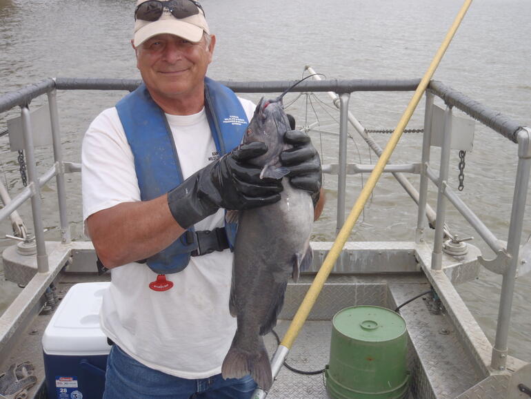 C:\Users\kirk.tjelmeland\Desktop\Perry cat 6-15.JPG