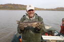 Perry Sauger