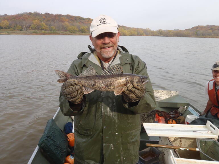 C:\Users\kirk.tjelmeland\Desktop\Chucks sauger 2 Perry 10-14.JPG