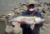 29-inch El Dorado walleye