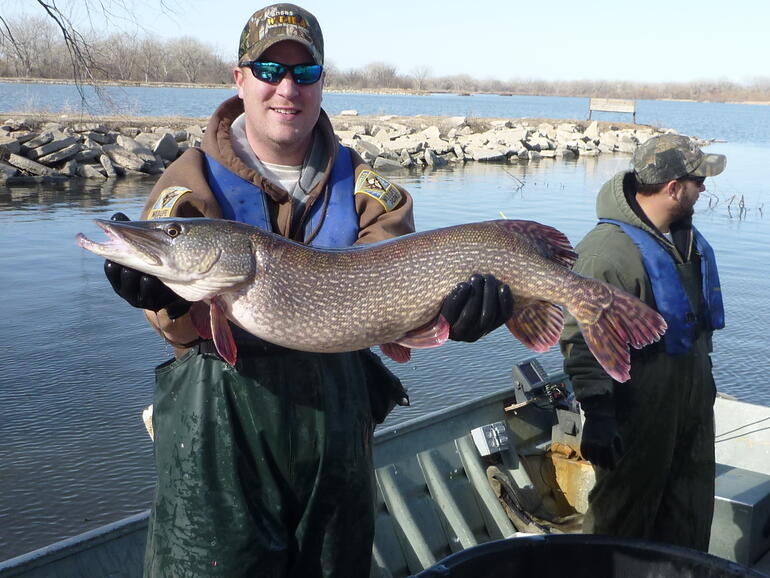 Pike 2012