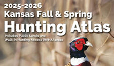 Where to Hunt