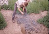 Dove Banding Pic 1
