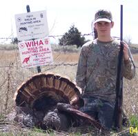 turkey wiha