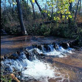 Beaver Dam Beaver Dam
