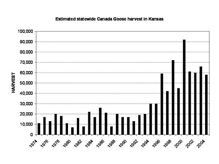 Canada goose harvest