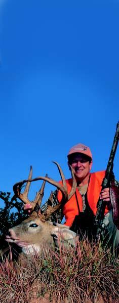 Deer Image