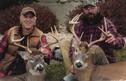 Bucks