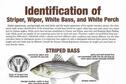 Wiper ID