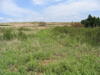 Byron Walker Grasslands