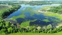 Lake Cattails 24