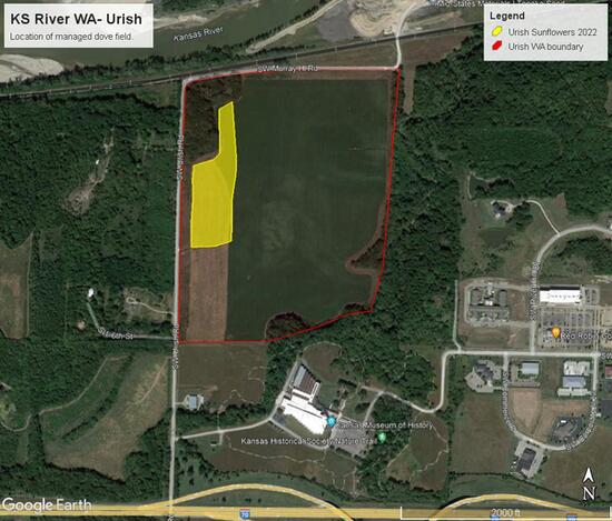 Urish Dove field 2022