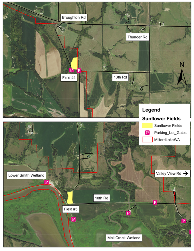 North East Dove Field