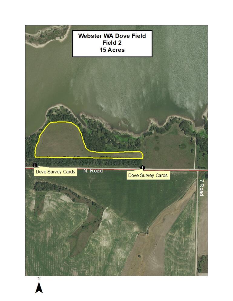 Webster Dove Field 2 2022