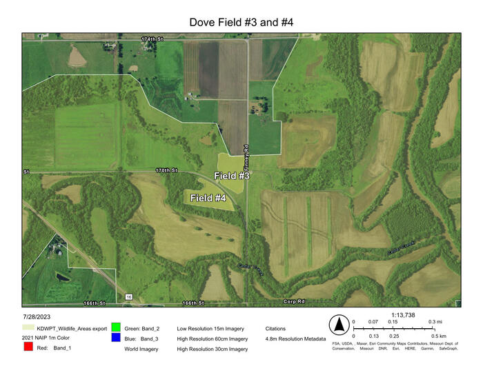 Perry Wildlife Area Dove Field 3-4