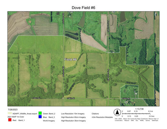 Perry Wildlife Area Dove Field 6