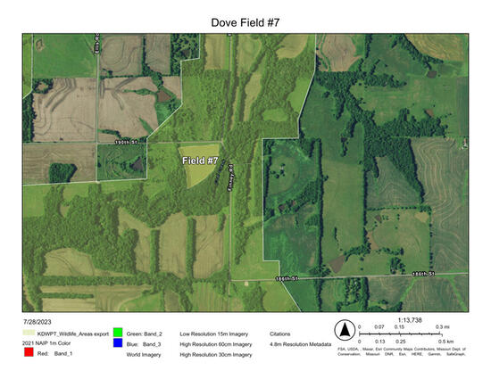 Perry Wildlife Area Dove Field 7