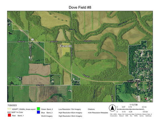 Perry Wildlife Area Dove Field 8