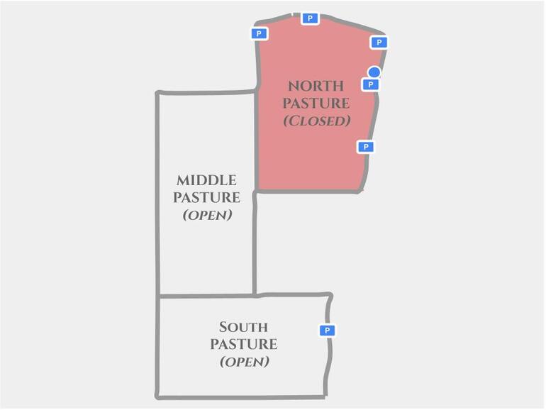 North Pasture Closed